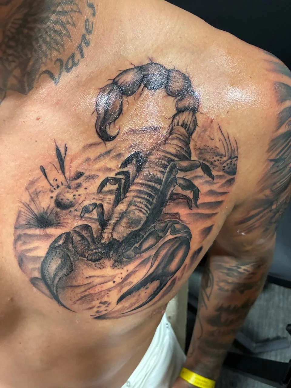 Skorpion auf der Schulter – Tattoo-Foto vom Studio